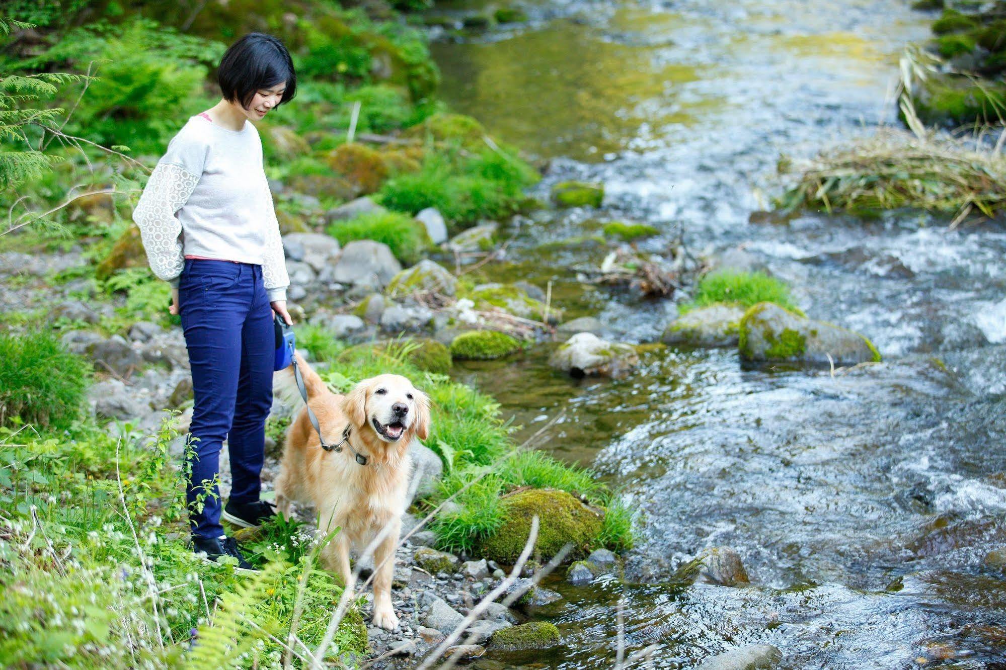 Izumigo Takayama Dog Paradise Hotel Ngoại thất bức ảnh